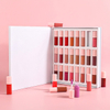 24 Shades Lip Gloss Set