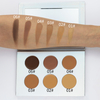 6 Color Concealer