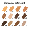 P229 Liquid Concealer