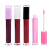 P93 P94 P108 P109 Lip Gloss