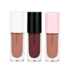 P95-1 P95-2 P95-3 Lip Gloss