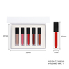 5 Shades Lip Gloss Set